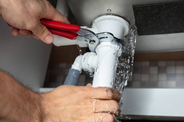 Best Carpet water damage restoration  in Biltmore, TN