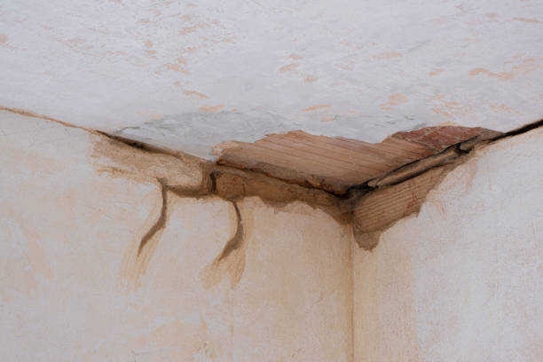 Best Water damage restoration near me  in Biltmore, TN