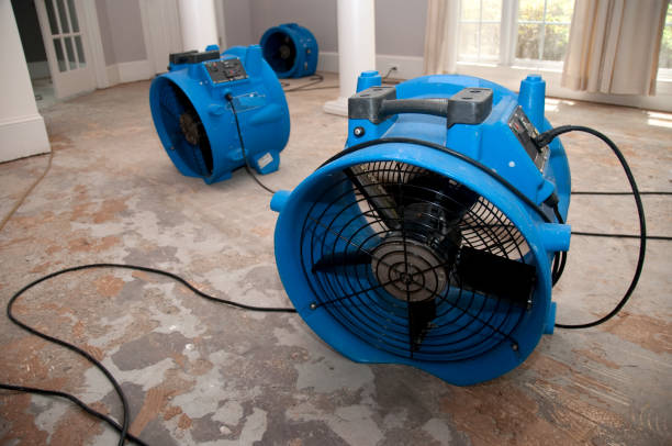 Biltmore, TN Water damage restoration Company