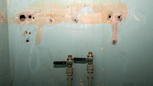 Best Fire Damage Restoration  in Biltmore, TN