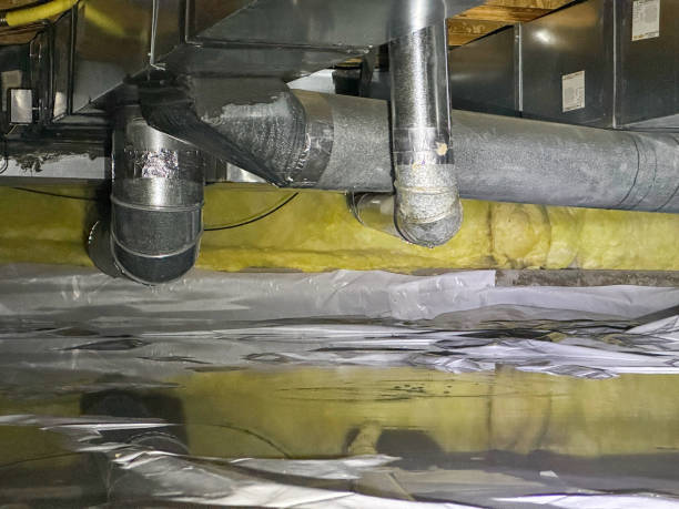 Best Water damage restoration process  in Biltmore, TN