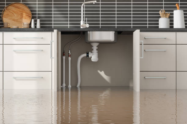 Best Professional water damage repair  in Biltmore, TN